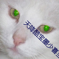 &#22909;&#x770B;&#21448;&#x524C;&#28608;&#x4E0D;&#23553;&#x53F7;&#26159;&#x76F4;&#25773;-voyeur&#21397;&#x6240;&#20599;&#x7AA5;-&#x966A;&#32842;&#x9A9A;&#22810;&#x5C11;&#38065;