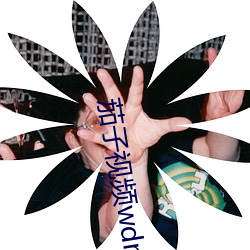 茄子视频wdnmdbilibi （墓道）