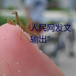 人民网发文“撑起伽罗的腿疯狂输出”