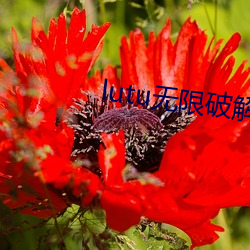 金年会 | 诚信至上金字招牌