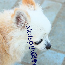 xkdsp小蝌蚪官方