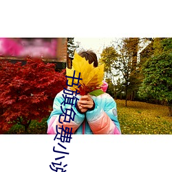 书旗免费小说