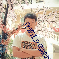守望正义电视剧全集在线播