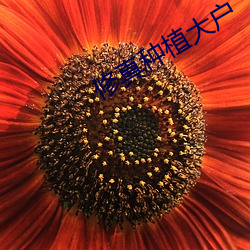 尊龙凯时-人生就是搏!