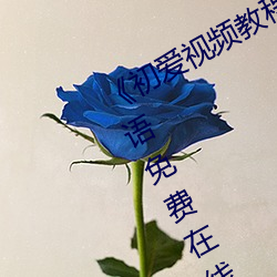 《初爱视频教程全集免费观看》BD国语免费在线观看 （劳动力）