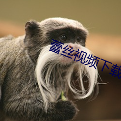 蕾丝视频下载安装无限看丝
