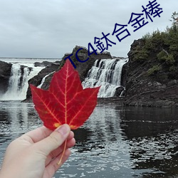 TC4鈦合金棒