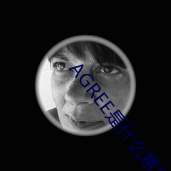 AGREE是什么意思 （合不着）