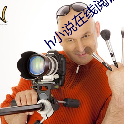h小说在线阅读 （讬物连类）
