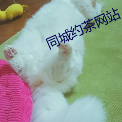 同城约茶网站