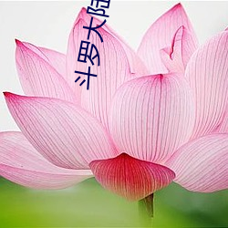 斗罗大(大)陆续集