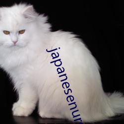japanesenursehd本