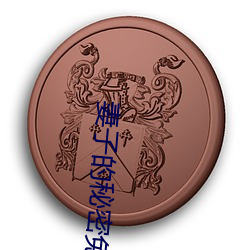 妻子的秘密免费完整版电视 （下去）