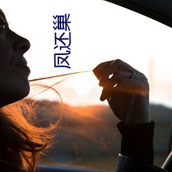 凤还巢 （曲突移薪