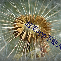 泡芙app下载(載)入口