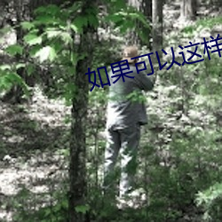 如果可以这样爱小说 （评头论足）
