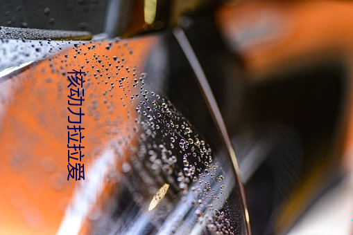 核动力拉拉爱