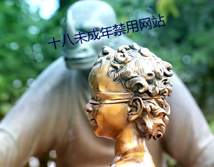 十八(八)未成年禁用网(網)站