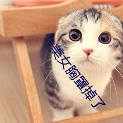 美女胸罩掉了