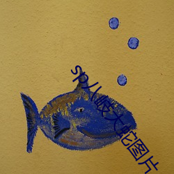 sp八岐大蛇图片
