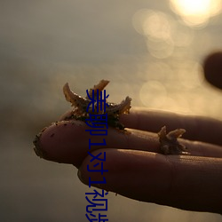 美聊1对1视频聊天