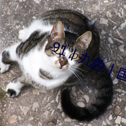 91丨九色丨国产熟女自带中文翻译 （点字）