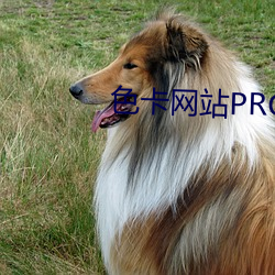 色卡網站PROC