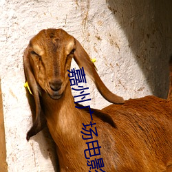 嘉州广场(chǎng)电影院