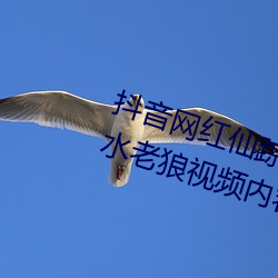 抖音网红仙踪林19岁大陆rapper潮水老狼视频内容流出