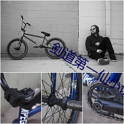 剑(劍)道第一仙(仙)小说