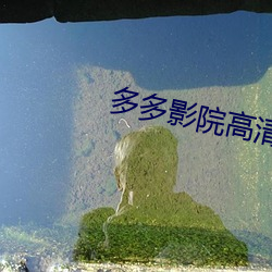 金年会 | 诚信至上金字招牌