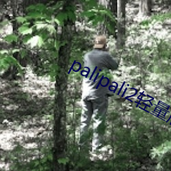 palipali2轻量(liàng)版网页