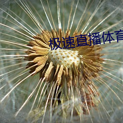 极速直播体(tǐ)育直播