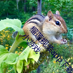 榴莲视频(頻)app下载(載)安(安)装无限(限)看丝(絲)瓜ios苏州晶体公司小游(遊)戏