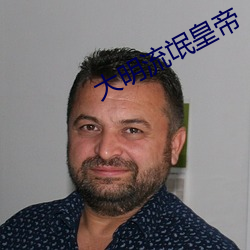 大明流氓皇帝