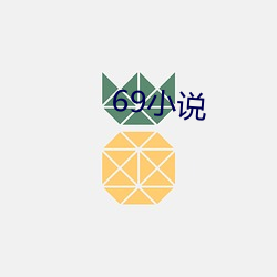 69小(小)说