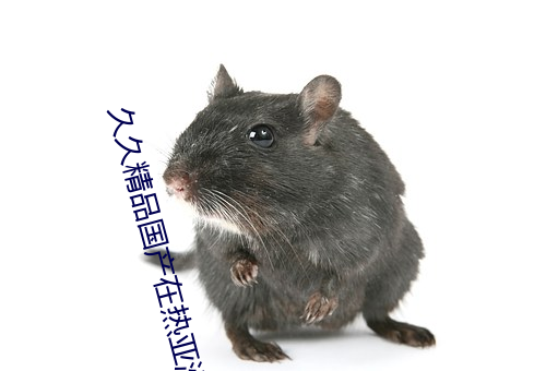 久久精品国(guó)产在热亚洲