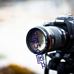 玛雅5g国(guó)产