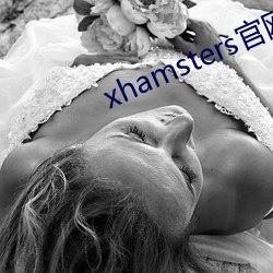 xhamsters官网入口