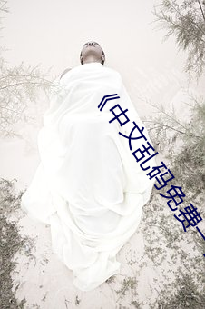 《中(zhōng)文乱码免费一区二区三(sān)区》