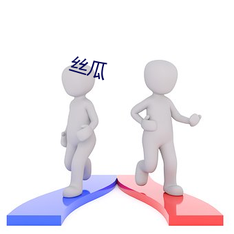 丝瓜