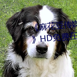 《麻花豆传媒剧(jù)国产MV在线观(guān)看》HD免费在线(xiàn)观看