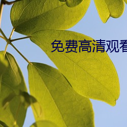 免費高清觀看電視網站