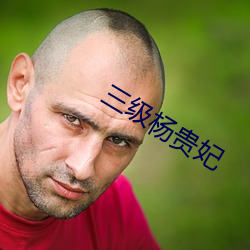 三级(級)杨(楊)贵妃