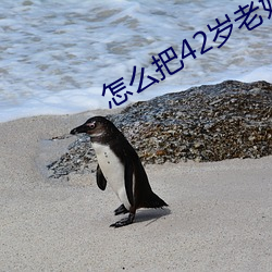 怎麽把42歲老媽拿下