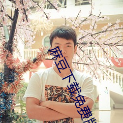 麻豆下载免费版下载ios （青莲色）
