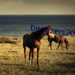 berrazers2022