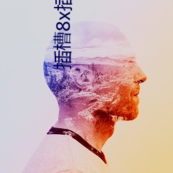 插槽8x插槽 （明罚敕法）