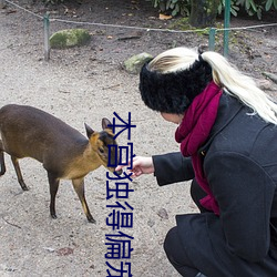 本宫独得偏宠(寵)