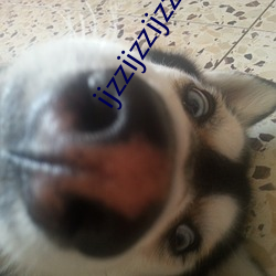 ijzzijzzijzz免费打开